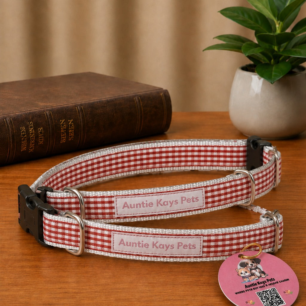 Five New Arrivals — A Little Something for Every Pet