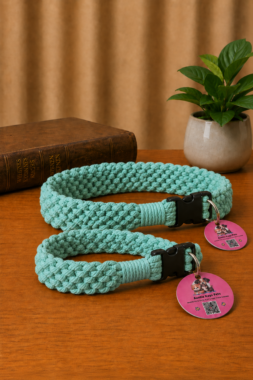 Light Green Macrame Dog Collar with Black Buckle – 12.5 Inch